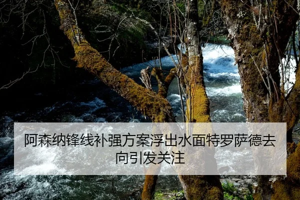 阿森纳锋线补强方案浮出水面特罗萨德去向引发关注