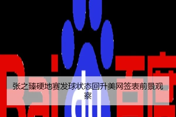 张之臻硬地赛发球状态回升美网签表前景观察